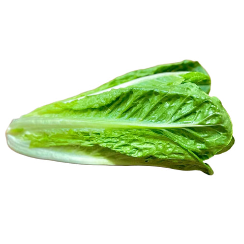 Cos Lettuce x 10