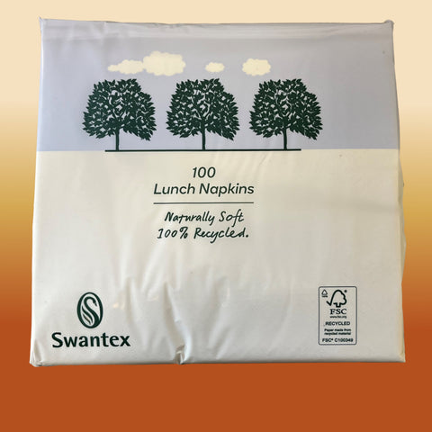 Napkins White 2 ply x 33cm - 100 in a pack