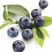 Blueberries -300g